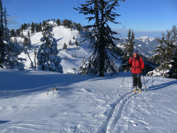 Schnappen vom Almhügel
