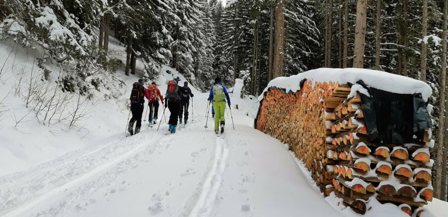 ... bis zur Forststraße, die durch den Wald und ...