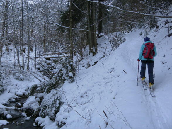 Hohlweg entlang des Aschbachs