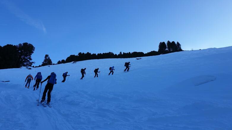 An der Waldgrenze wenig unterhalb der Largozalm