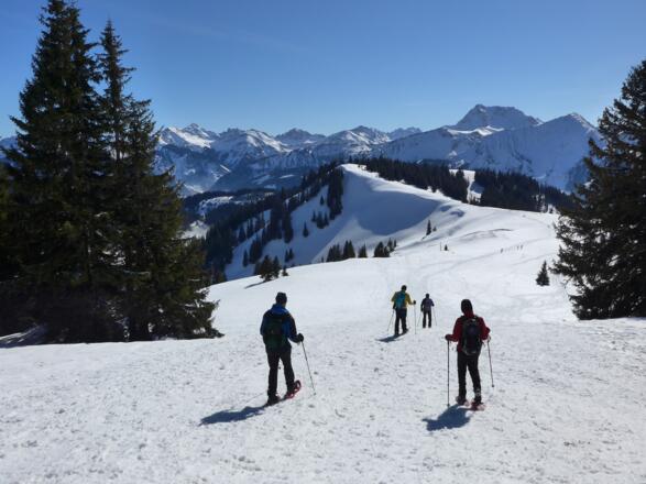 Abstieg Richtung Sattel und Pirschling (in der Bildmitte)