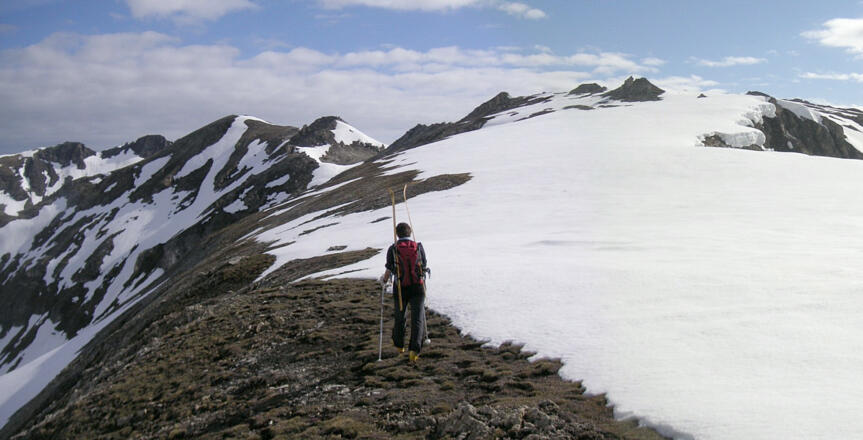 breiter Verbindungsrücken