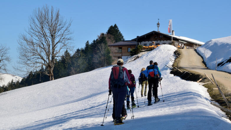 Kurz vor der Wildbichler Alm
