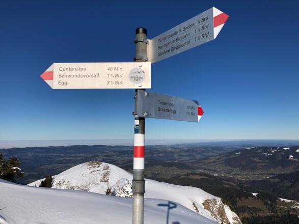 Blick über den Tristenkopf richtung Bodensee