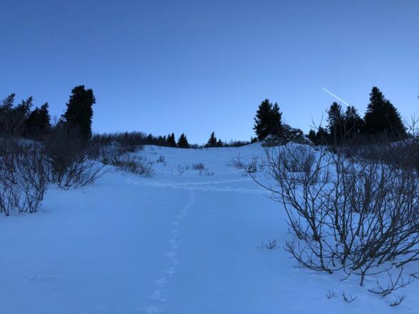 Im steileren Gelände mit Blick nach oben
