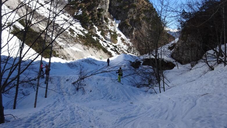 Im Halltal, bei der 2. Ladhütte, kurz vor dem Bettelwurfeck.