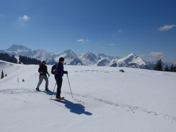 Auf dem Sattel zwischen Pirschling und Schönkahler