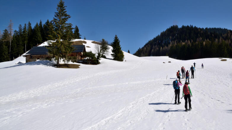 Bei den Freiflächen der Rettenbachalm