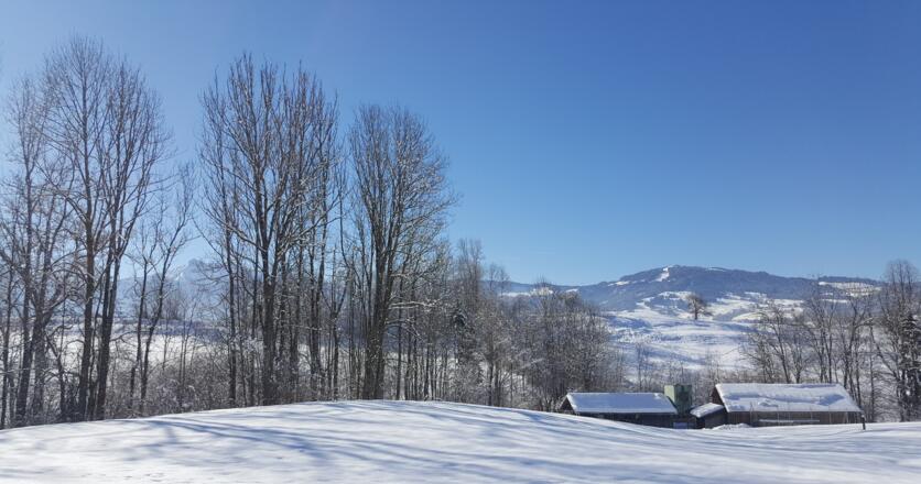 Blick nach Schwarzenberg