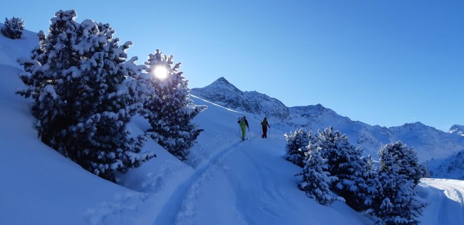 Ein zweites Mal überquert man die Forstraße kurz vor der Furggesalm. Hinten das Schwarzhorn (2812 m).
