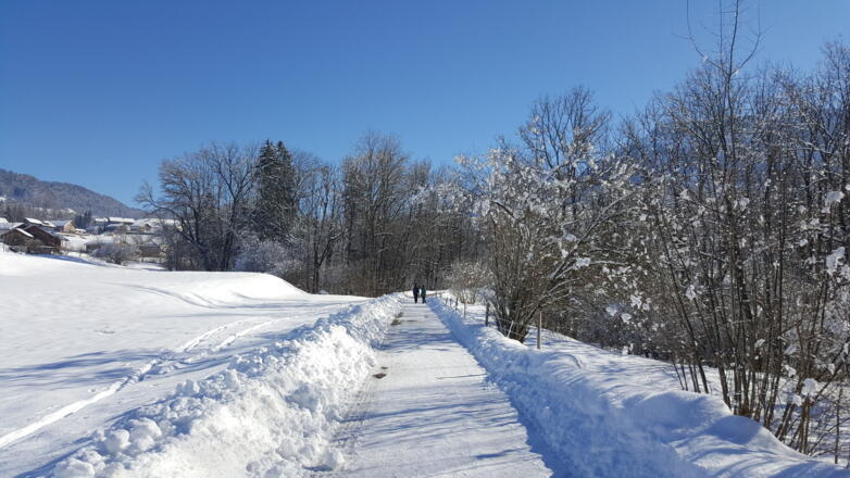 Winterwanderweg Egg