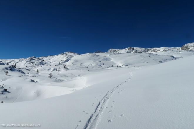 Zu Beginn folgt man der Wintermarkierung Richtung Guttenberghaus