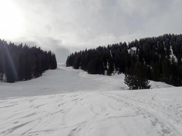 Steilhang oberhalb der Godlachalpe