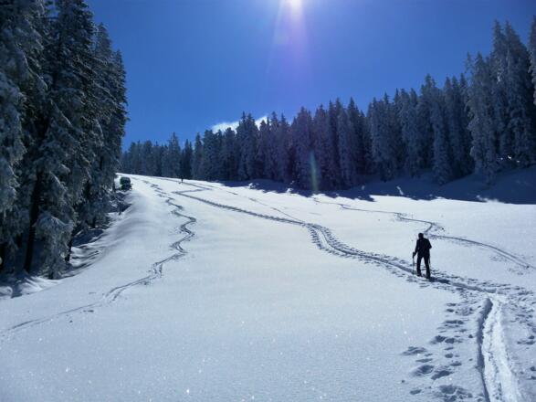 mildes Pistenterrain