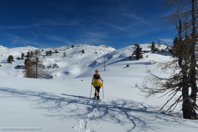 Am Weg zum Schwemmerkogel