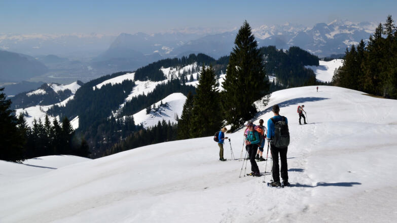 Weglos den Hang hinauf