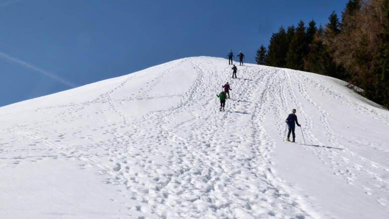 Abstieg zur Wandberghütte