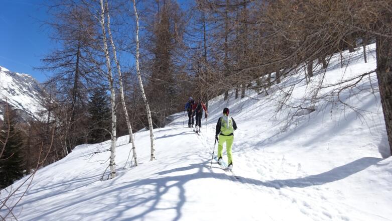 ... in ca. 10 min. ...