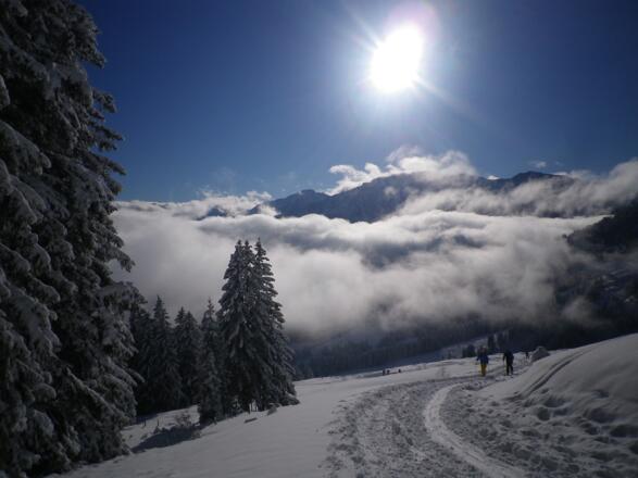 Kurz nach Start am Gasthof Zugspitzblick bei Zöblen