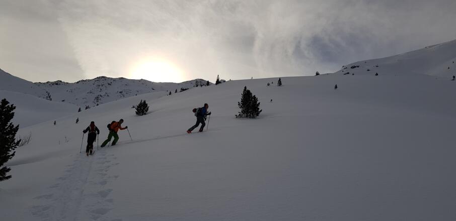Am mäßig steilen Rücken