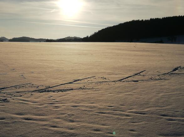 Langlaufloipe Freistadt