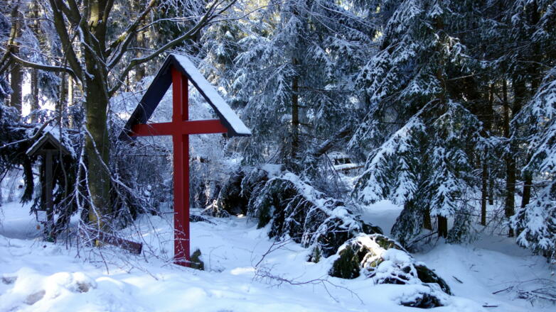 Rotes Kreuz ~875m, Wegkreuzung