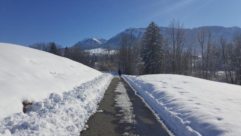 Winterwanderweg mit Blick auf die Niedere