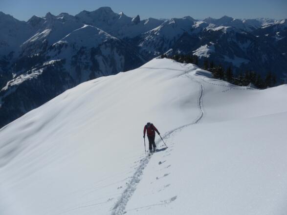 Südwestrücken des Falzerkopfs