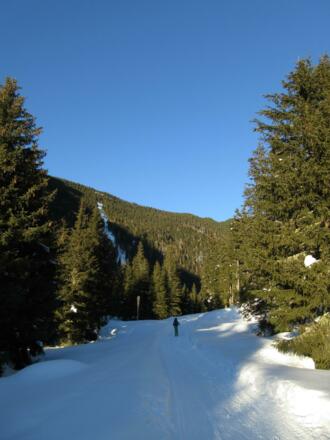 Der Aufstieg verläuft meist im Wald.