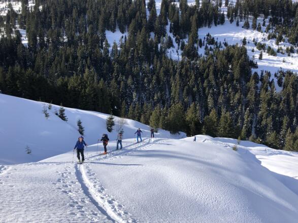 Aufstieg über schönes Wiesengelände