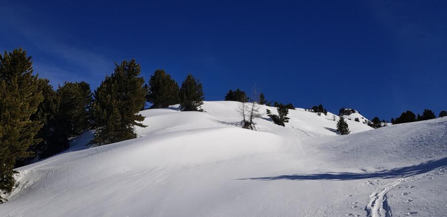Gleich beim Morgenköpfl