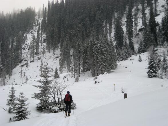 Kastensteig über Waldsteilstufe