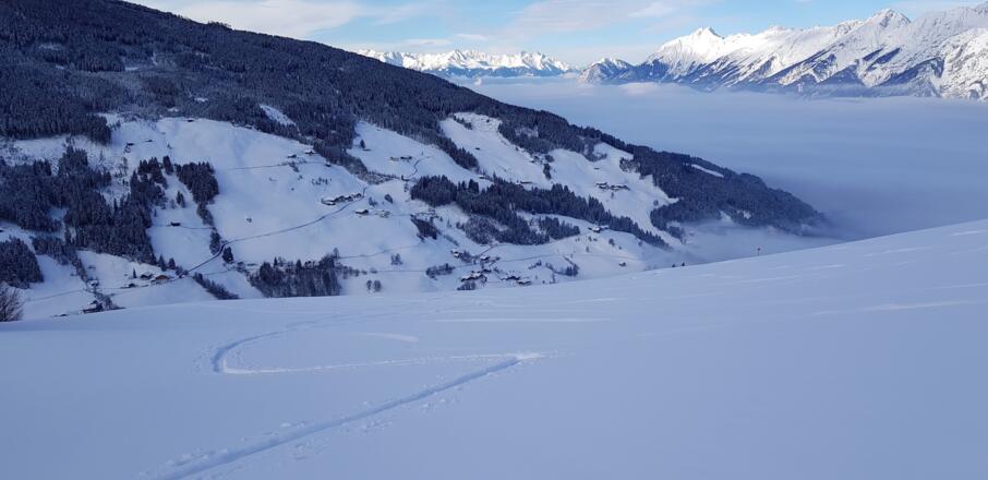 Über Wiesengelände hoch zur Waldgrenze