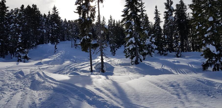 Nie steiles, sicheres Gelände