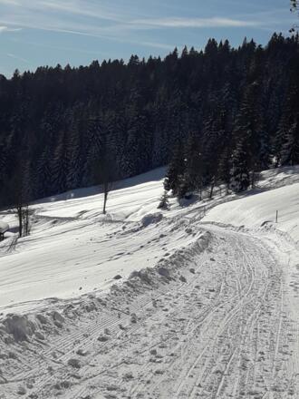 Weg auf den Brüggelekopf, Alberschwende