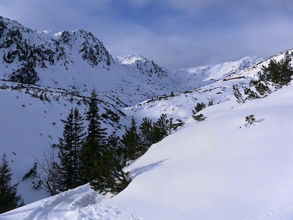 Latschenhang zur Gressensteinalm