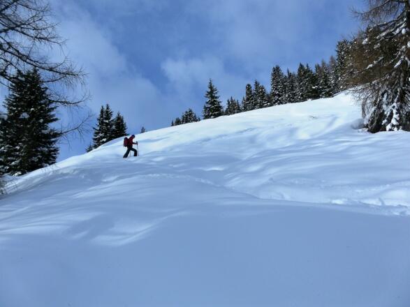 erste freie Flächen