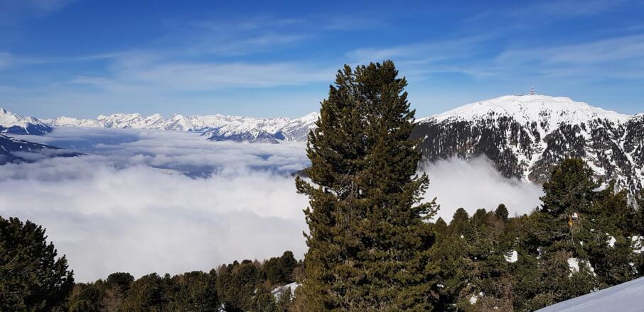 Blick zu Patscherkofel