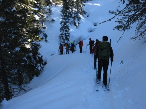 Von der Alm geht es durch den Wald über einen Bach.