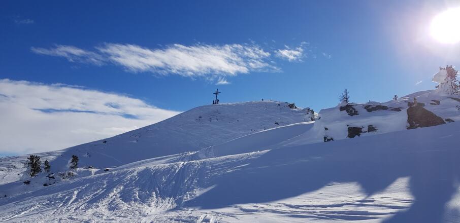 Der Gipfel ist knapp über der Waldgrenze