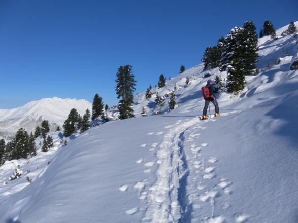 schönes Almgelände, links das Kellerjoch