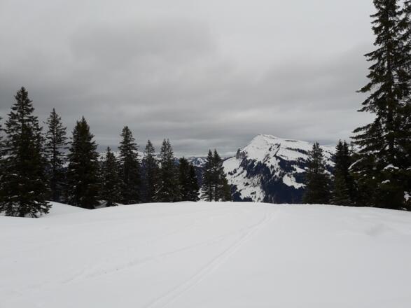 Auf dem Rücken. Blick nach Osten mit Diedamskopf