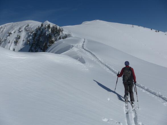am Gipfelkamm des Falzer Kopfs