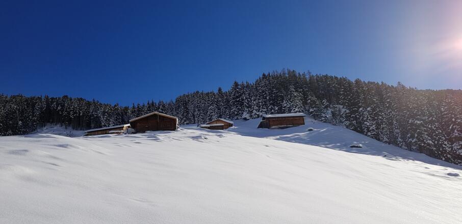 Über Wiesen hinauf zur Vorbergalm