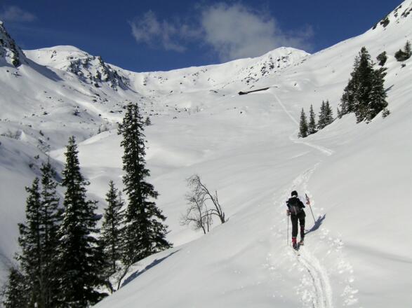 vor der Gressensteinalm