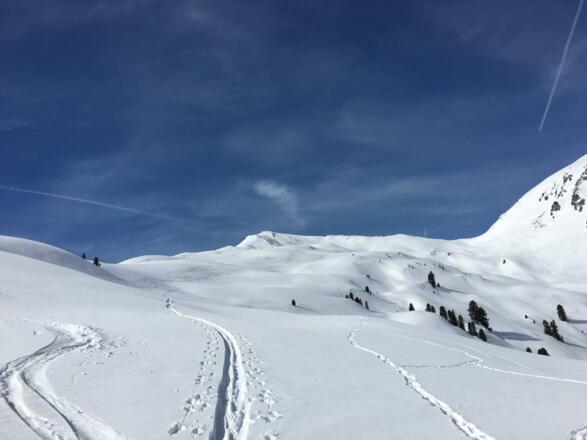 Tolles Gelände über der Waldgrenze