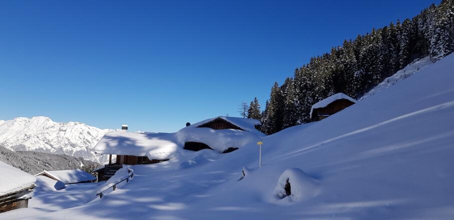 Nach der Vorbergalm wieder entlang der Forststraße weiter