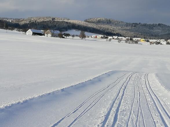 Langlaufloipe Freistadt