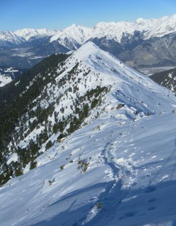 Rückblick zum Grieskogel 