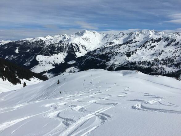 Blick Richtung Schafsiedl